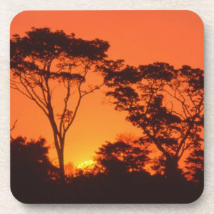 South Africa. African sunset. Coaster