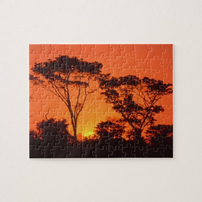 South Africa.  African sunset. Jigsaw Puzzle (Horizontal)