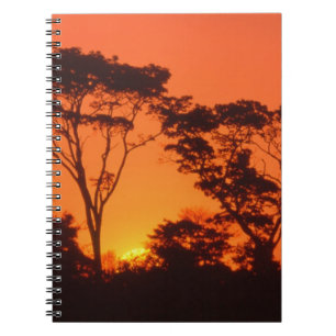 South Africa.  African sunset. Notebook