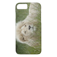 South Africa, East London, Inkwenkwezi Private