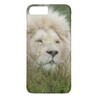 South Africa, East London, Inkwenkwezi Private