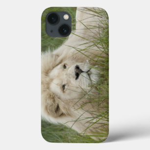 South Africa, East London, Inkwenkwezi Private iPhone 13 Case