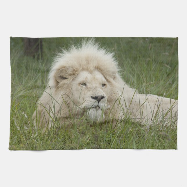 South Africa, East London, Inkwenkwezi Private Kitchen Towel (Horizontal)