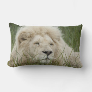 South Africa, East London, Inkwenkwezi Private Lumbar Pillow