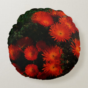 South Africa Green Orange Succulent Flowers Round Pillow