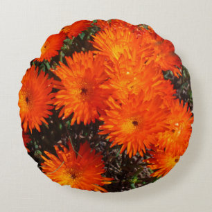 South Africa Green Orange Succulent Flowers Round Pillow