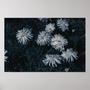 South Africa Green White Indigenous Flowers Poster