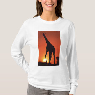 South Africa, Kruger NP. Giraffe (Giraffa T-Shirt