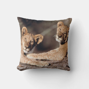 South Africa, lion cubs Throw Pillow