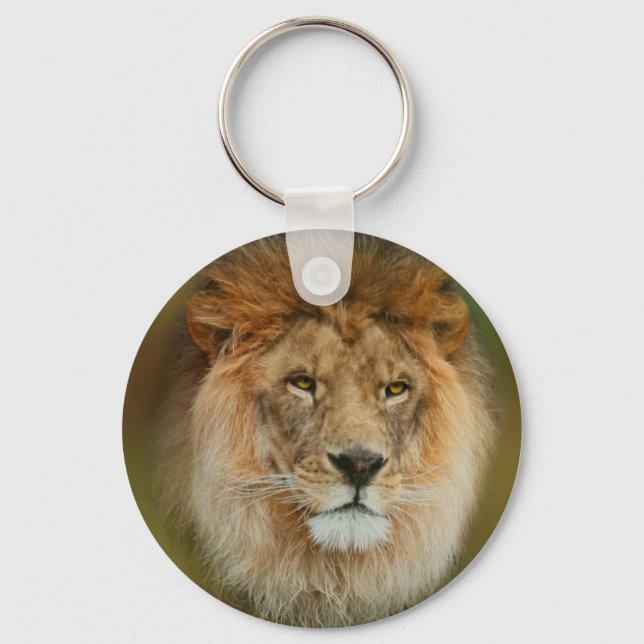 South Africa Majestic Lion Close up Keychain (Front)