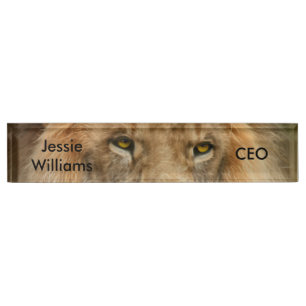 South Africa Majestic Lion Close up Nameplate