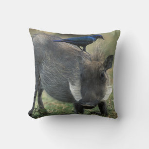 South Africa, Pilanesburg GR, Warthog Throw Pillow