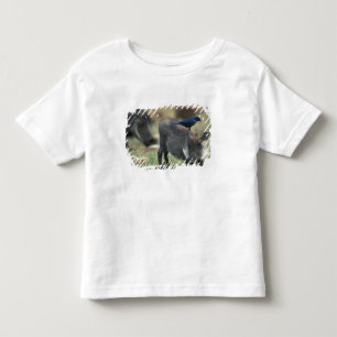 South Africa, Pilanesburg GR, Warthog Toddler T-shirt