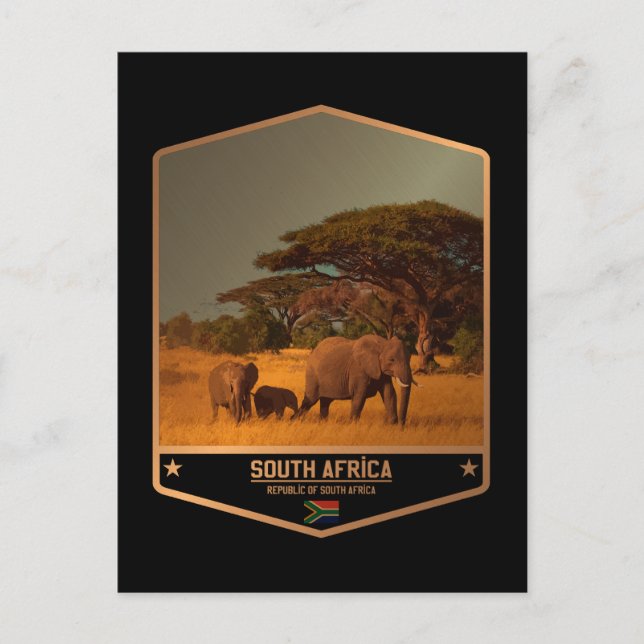 South Africa Postcard (Front)