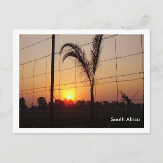 South Africa Postcard
