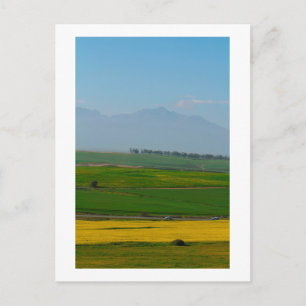 South Africa Rural Canola Landscape Mountains SA Postcard