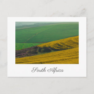 South Africa Rural Landscape Canola Fields Postcard