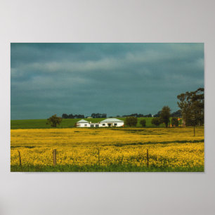 South Africa Rural Landscape Canola Fields Poster