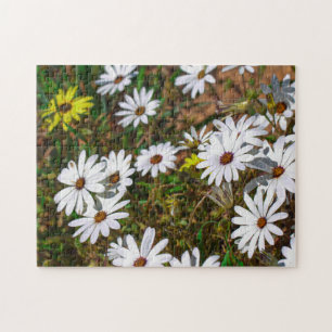 South Africa Velddrif West Coast Wild Flowers Jigsaw Puzzle