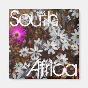 South Africa Velddrif West Coast Wild Flowers Magnet