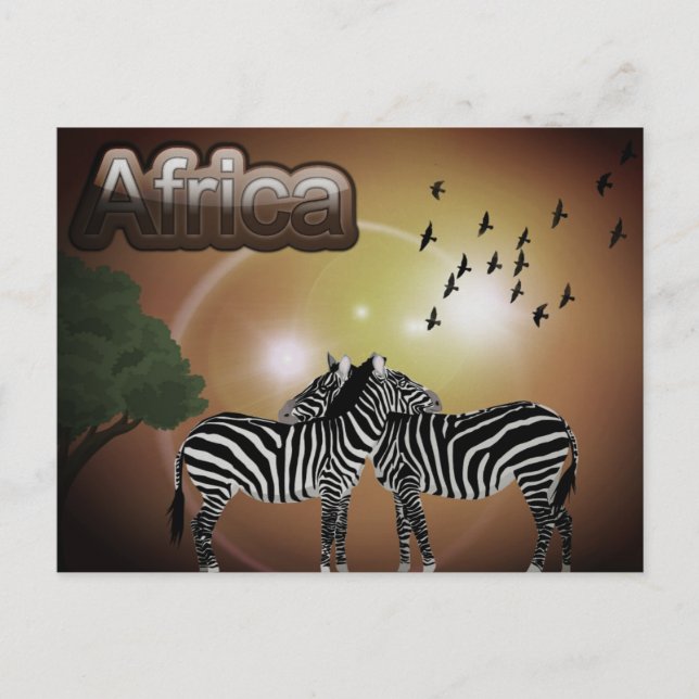 South Africa Vintage Zebra Travel Postcard (Front)
