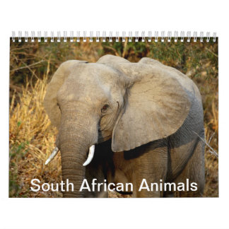 South African Animals Calendar