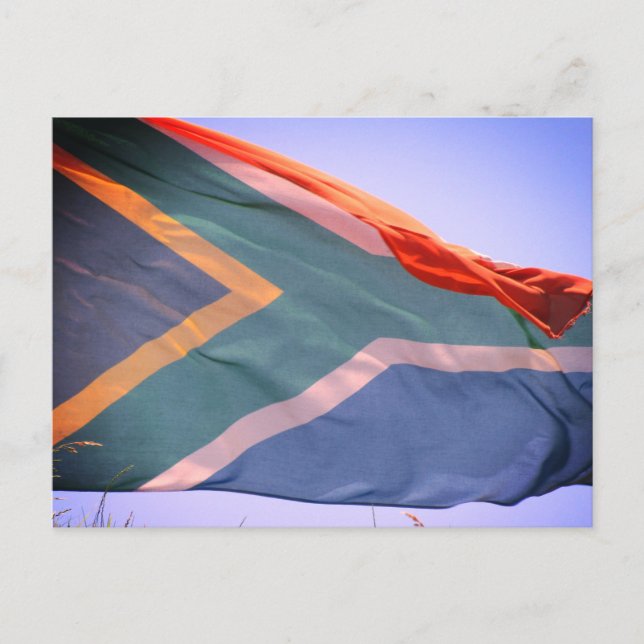 south african flag postcard (Front)