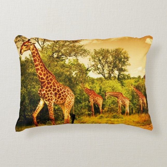 South African giraffes Accent Pillow (Front)