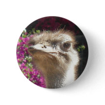 South African Ostrich Face Button