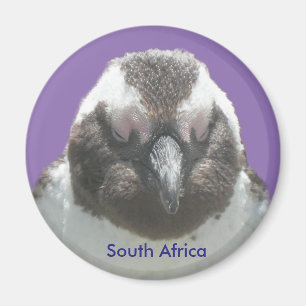South African Penguin Face Customizable Magnet
