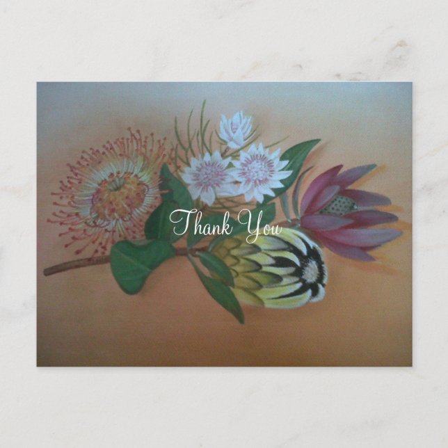 South African Proteas Thank You Postcard (Front)