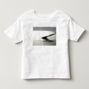 South America, Brazil, Brasilia. Interior Toddler T-shirt