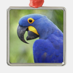 South America, Brazil, Pantanal Metal Ornament