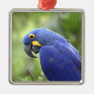South America, Brazil, Pantanal Metal Ornament