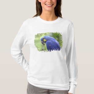 South America, Brazil, Pantanal T-Shirt