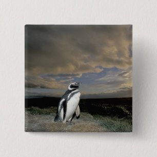 South America, Chile, Patagonia, Magellanes, 2 Inch Square Button