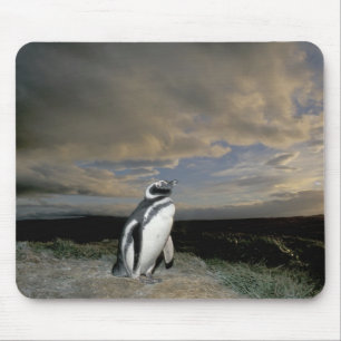 South America, Chile, Patagonia, Magellanes, Mouse Pad