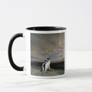 South America, Chile, Patagonia, Magellanes, Mug