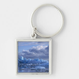 South America, Chile, San Rafael Lagoon NP. Keychain