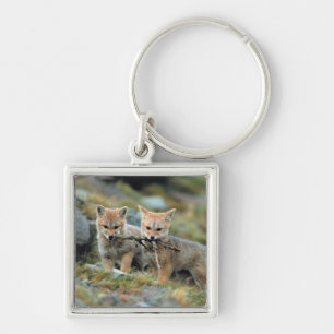 South America, Chile, Torres del Paine National Keychain
