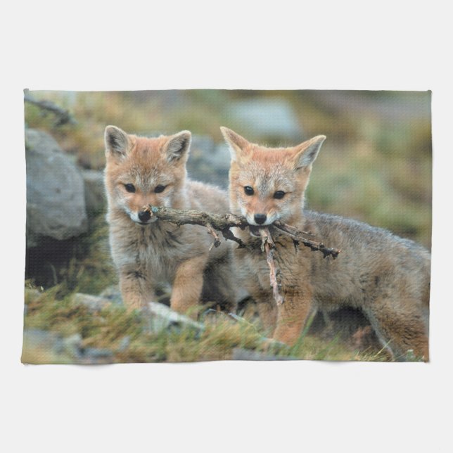 South America, Chile, Torres del Paine National Kitchen Towel (Horizontal)
