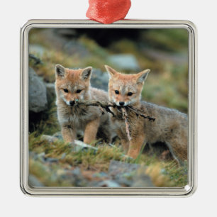 South America, Chile, Torres del Paine National Metal Ornament