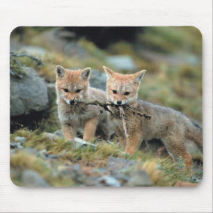 South America, Chile, Torres del Paine National Mouse Pad