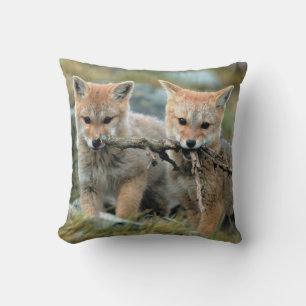 South America, Chile, Torres del Paine National Throw Pillow