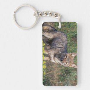 South America, Chile, Torres del Paine NP, Keychain
