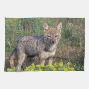 South America, Chile, Torres del Paine NP, Kitchen Towel