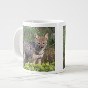 South America, Chile, Torres del Paine NP, Large Coffee Mug