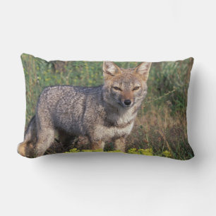 South America, Chile, Torres del Paine NP, Lumbar Pillow