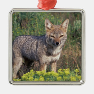 South America, Chile, Torres del Paine NP, Metal Ornament