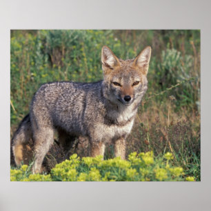 South America, Chile, Torres del Paine NP, Poster